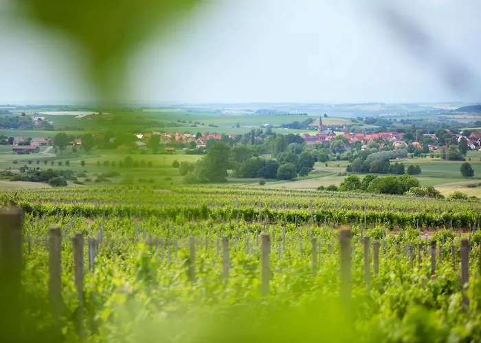 Weingut Schilling