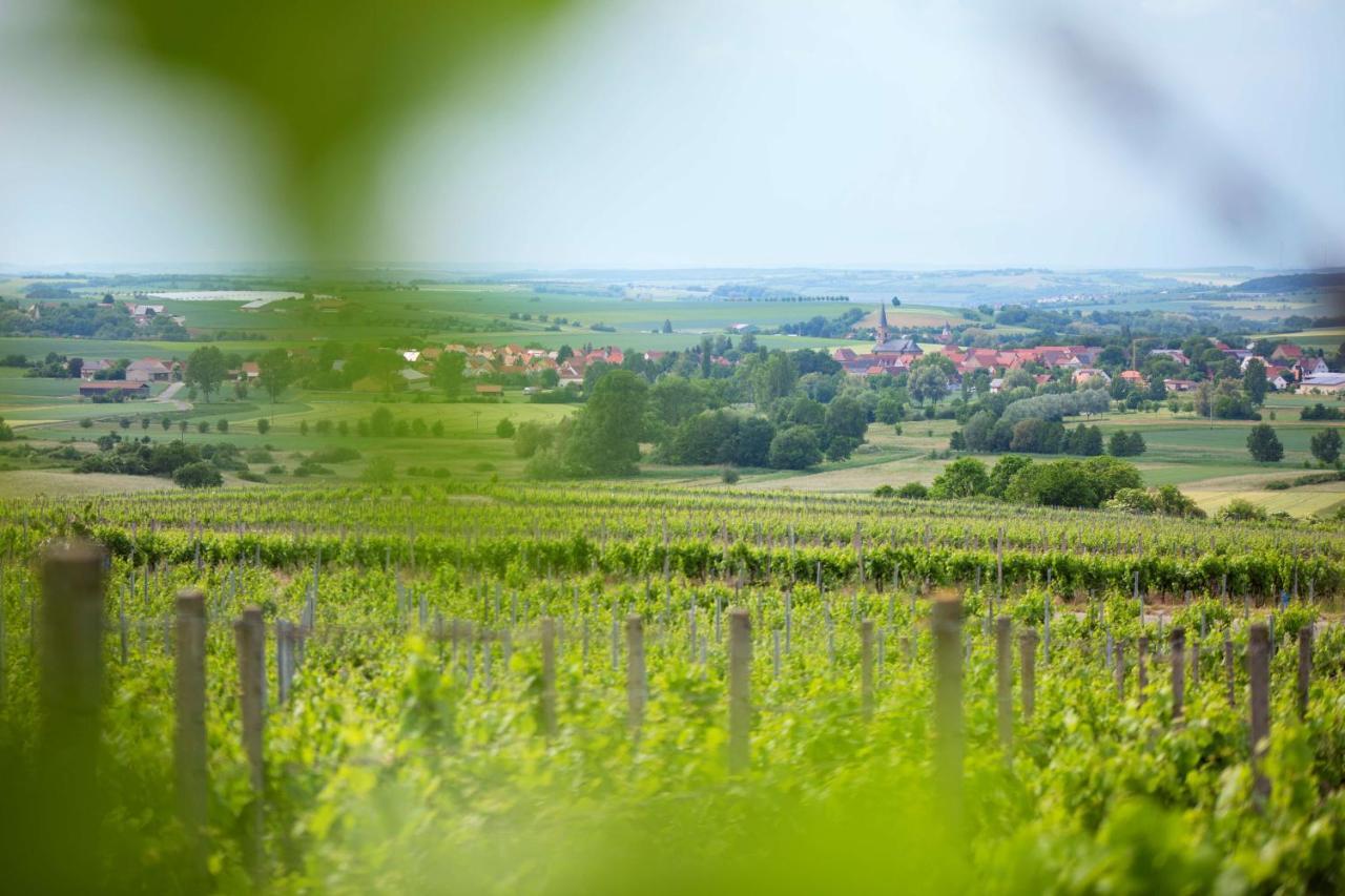 Mini-hôtel Weingut Schilling